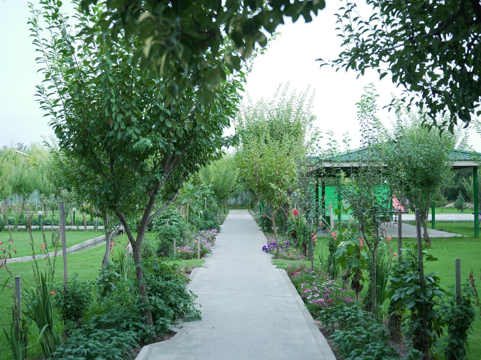 Après : une allée de jardin nette, bordée de massifs et de pelouse