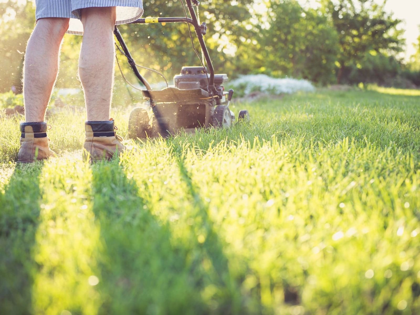 Un jardinier vu de dos pousse une tondeuse sur une pelouse, l’herbe coupée forme une bande plus claire